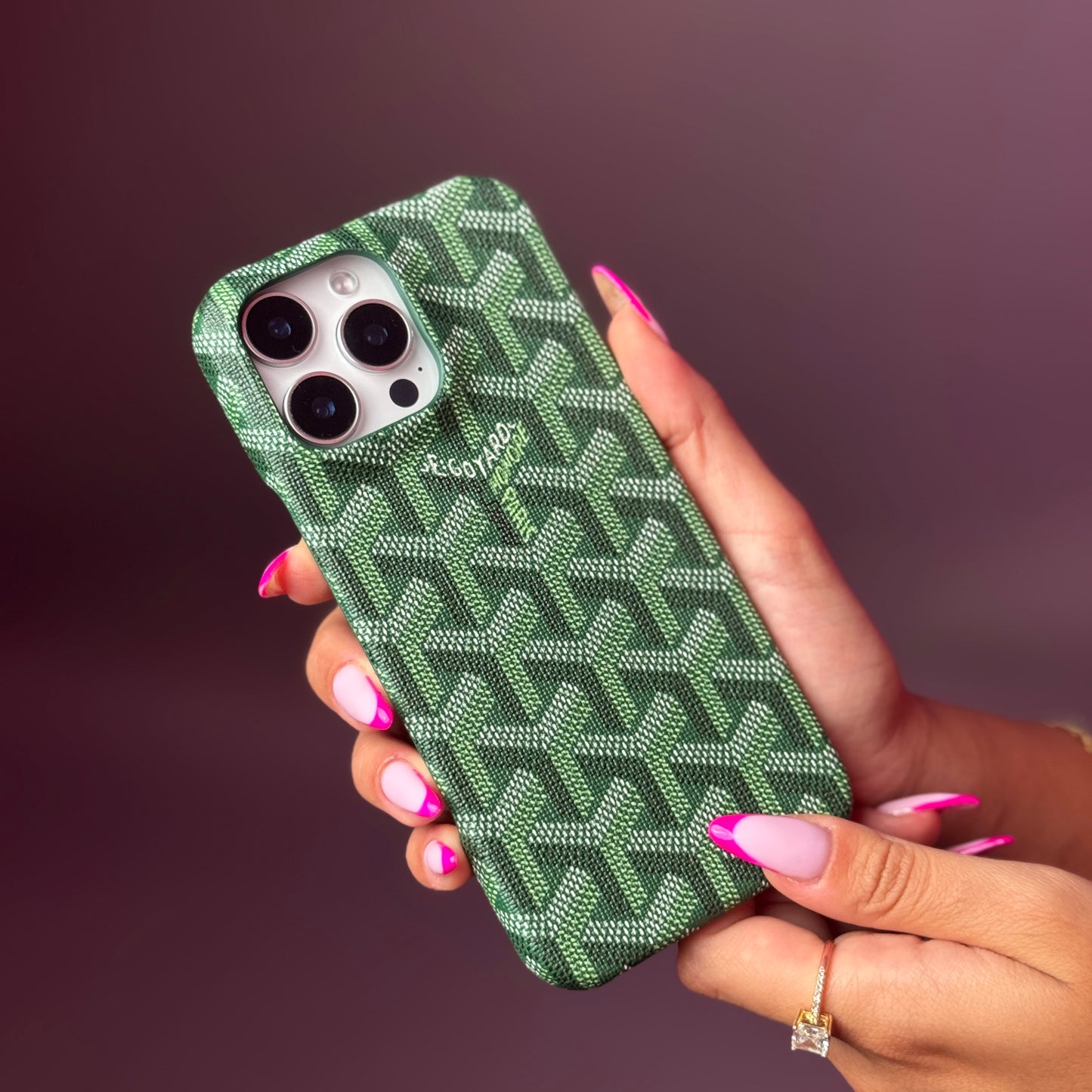 Goyard Leather Case